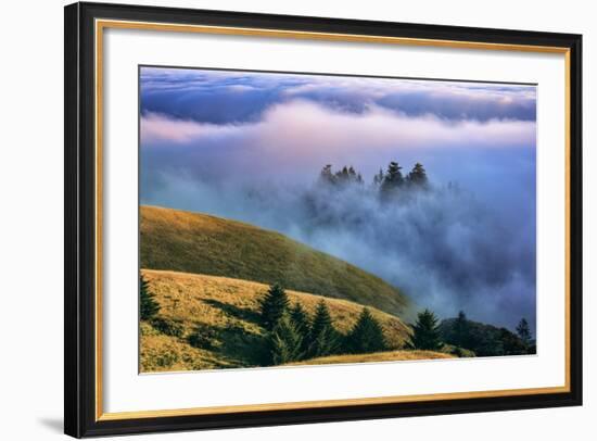 Magical Land of Fog and Light, Mount Tamalpais State Park, California-Vincent James-Framed Photographic Print