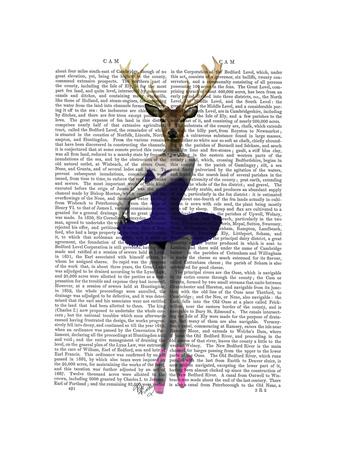 Premium Giclee Print, , small