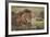 Lion (Panthera Leo), Serengeti National Park, Tanzania, East Africa, Africa-James Hager-Framed Photographic Print