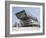 Library and Learning Centre, Designed by Zaha Hadid, University of Economics and Business-Jean Brooks-Framed Photographic Print