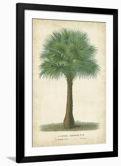 Palm of the Tropics I-Horto Van Houtteano-Framed Art Print