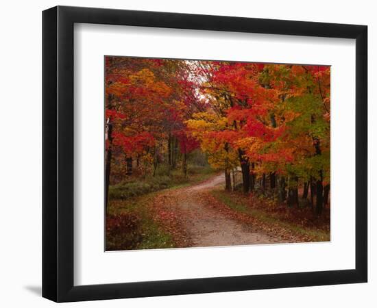 Country Road in the Fall, Vermont, USA-Charles Sleicher-Framed Photographic Print