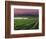 Sunrise in Distant Fog, Carnaros, Napa Valley, California, USA-Janis Miglavs-Framed Photographic Print