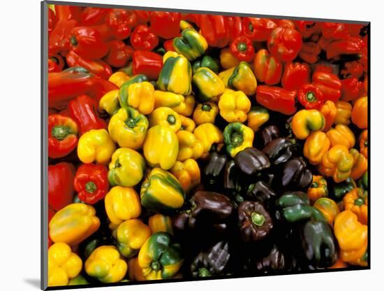 Peppers, Ferry Building Farmer's Market, San Francisco, California, USA-Inger Hogstrom-Mounted Photographic Print