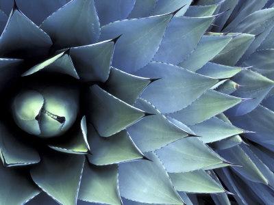 Photographic Print, , small