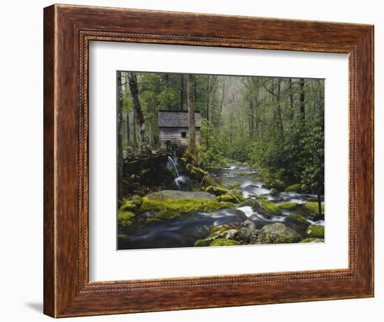 Watermill in Forest by Stream, Roaring Fork, Great Smoky Mountains National Park, Tennessee, USA-Adam Jones-Framed Photographic Print