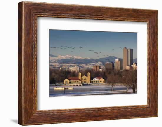 City Skyline from City Park, Denver, Colorado, USA-Walter Bibikow-Framed Photographic Print