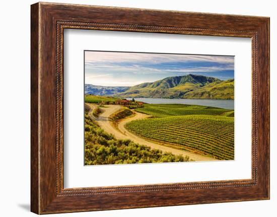 Benson Vineyards Estate Winery, Lake Chelan, Washington, USA-Richard Duval-Framed Photographic Print