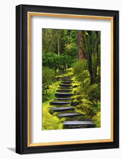 Spring on the Steps, Portland Japanese Garden, Portland, Oregon, USA-Michel Hersen-Framed Photographic Print