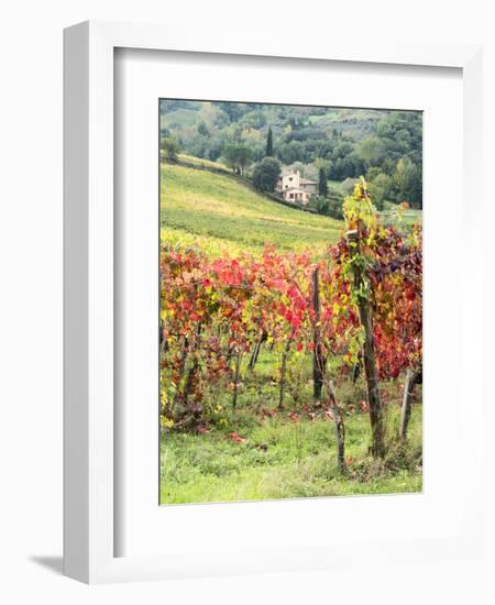 Italy, Tuscany. Farm House and Vineyard in the Chianti Region-Julie Eggers-Framed Premium Photographic Print