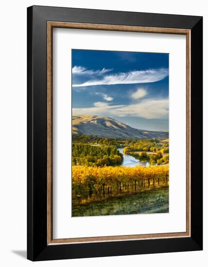 USA, Washington. Harvest Season for Red Mountain Vineyards-Richard Duval-Framed Photographic Print