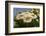 Arizona, Tucson, Tucson Mountain Park-Peter Hawkins-Framed Photographic Print