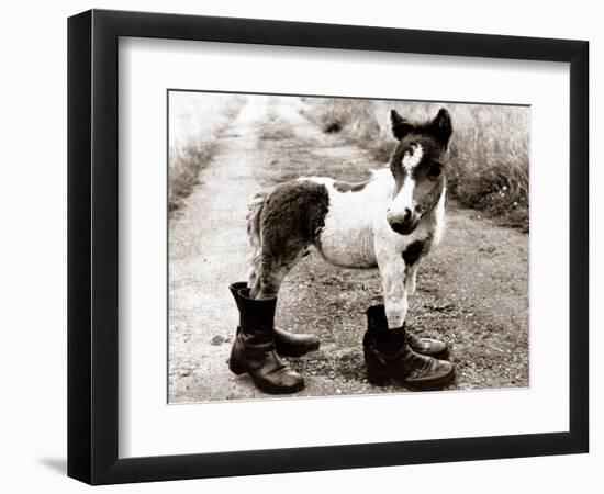 Adult Horse with Giant Boots-null-Framed Photographic Print