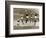 Manchester United vs. Arsenal, Football Match at Old Trafford, October 1967-null-Framed Photographic Print