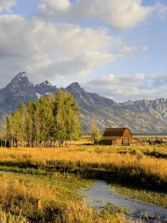 Premium Photographic Print, , small
