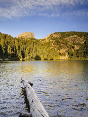 Premium Photographic Print, , small