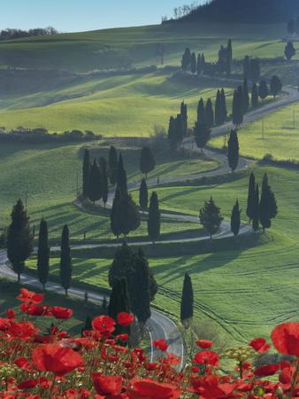 Photographic Print, , small