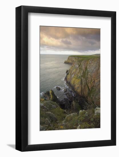 Mull of Galloway, Rhins of Galloway, Dumfries and Galloway, Scotland, UK-Gary Cook-Framed Photographic Print