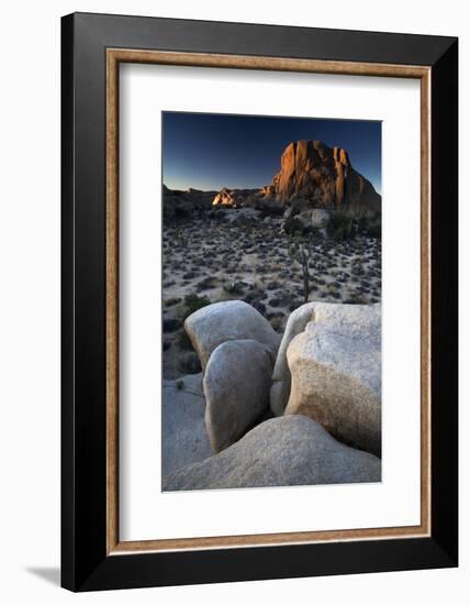 Landscape, Joshua Tree National Park, California, United States of America, North America-Colin Brynn-Framed Photographic Print