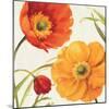 Poppies Melody II-Lisa Audit-Mounted Art Print