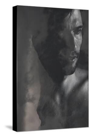 Stretched Canvas Print, , small