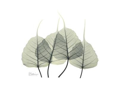Premium Giclee Print, , small