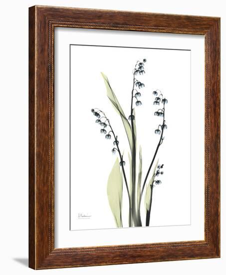 Lily of the Valley-Albert Koetsier-Framed Premium Giclee Print