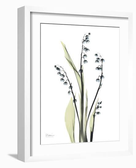 Lily of the Valley-Albert Koetsier-Framed Premium Giclee Print