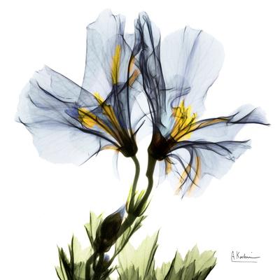 Premium Giclee Print, , small