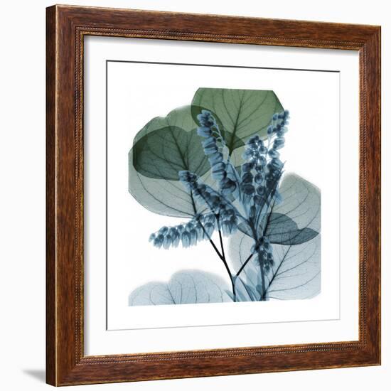 Lilly of Eucalyptus 2-Albert Koetsier-Framed Premium Giclee Print