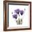 Royal Purple Gentian Trio-Albert Koetsier-Framed Premium Giclee Print