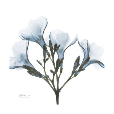 Premium Giclee Print, , small