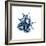 Blue Starfish 2-Albert Koetsier-Framed Premium Giclee Print