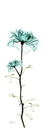 Premium Giclee Print, , small