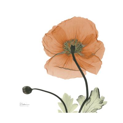Premium Giclee Print, , small