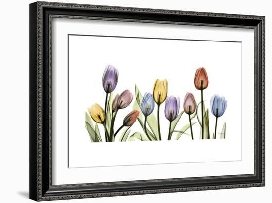 Tulipscape Portrait-Albert Koetsier-Framed Premium Giclee Print