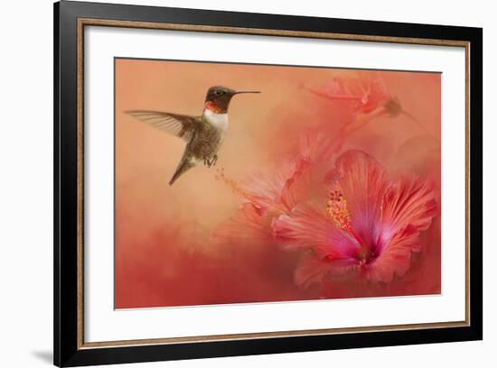 Hummingbird and Peach Hibiscus-Jai Johnson-Framed Giclee Print