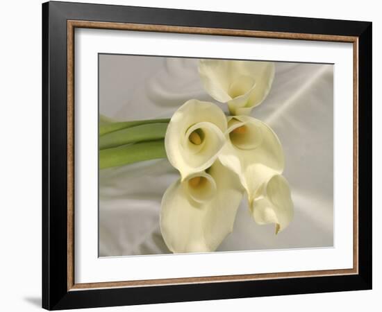 Calla Lily-Anna Miller-Framed Photographic Print