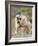 Alpine Marmot in the Hohe Tauern, Mount Grossglockner. Austria-Martin Zwick-Framed Photographic Print