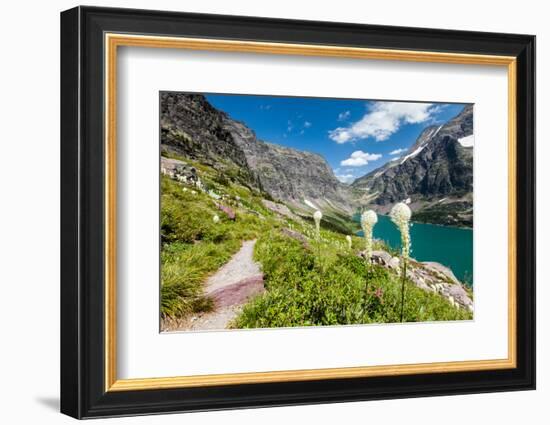 Bear Grass Flowers Above Lake Ellen Wilson in Glacier NP, Montana-James White-Framed Photographic Print