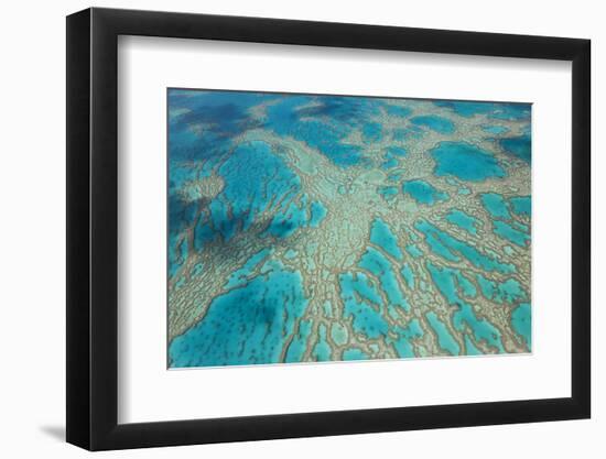 Aerial View of the Great Barrier Reef, Queensland, Australia-Peter Adams-Framed Photographic Print