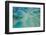 Aerial View of the Great Barrier Reef, Queensland, Australia-Peter Adams-Framed Photographic Print