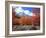 Utah. Bigtooth Maple Trees in Autumn in the Wellsville Mountains-Scott T. Smith-Framed Photographic Print