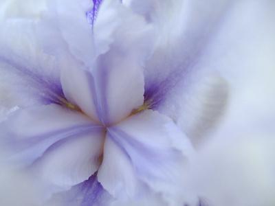 Premium Photographic Print, , small