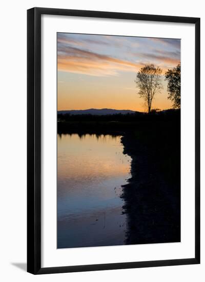 California, Gray Lodge Waterfowl Management Area, at Butte Sink-Alison Jones-Framed Photographic Print