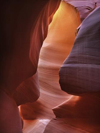 Premium Photographic Print, , small