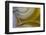 Banded Agate, Sammamish, Washington State-Darrell Gulin-Framed Photographic Print