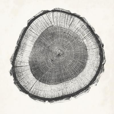 Premium Giclee Print, , small