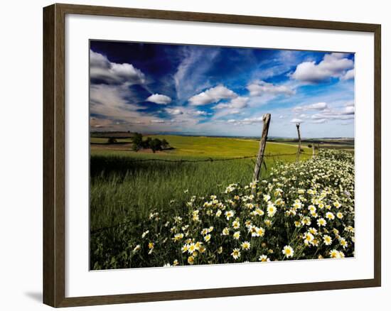 Views of Andalusia, Spain-Felipe Rodriguez-Framed Photographic Print