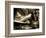 Zoom-Stephen Arens-Framed Photographic Print